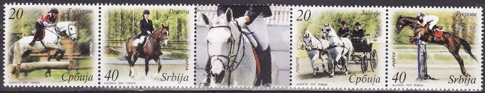 Equestrian Sport