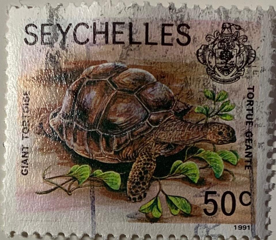 Giant tortoise