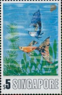 Stamp, Sea Shells, Singapore,  , Animals (Fauna), Fishes, Molluscs, Philatelic Exhibitions, Sea Life