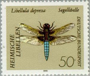 Stamp, Broad-bodied Chaser (Libellula depressa), Germany, Federal Republic,  , Insects, Dragonflies, Animals (Fauna)