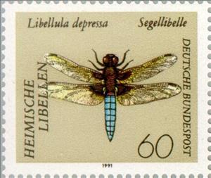 Stamp, Broad-bodied chaser (Libellula depressa), Germany, Federal Republic,  , Insects, Dragonflies, Animals (Fauna)
