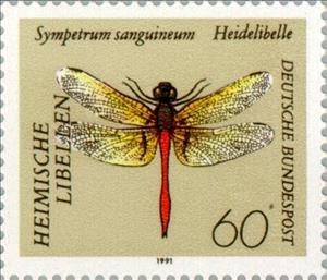 Stamp, Ruddy Darter (Sympetrum sanguineum), Germany, Federal Republic,  , Insects, Dragonflies, Animals (Fauna)