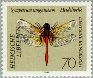 Stamp, Ruddy Darter (Sympetrum sanguineum), Germany, Federal Republic,  , Insects, Dragonflies, Animals (Fauna)