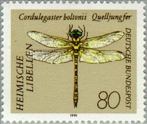 Stamp, Golden-ringed Dragonfly (Cordulegaster boltonii), Germany, Federal Republic,  , Insects, Dragonflies, Animals (Fauna)