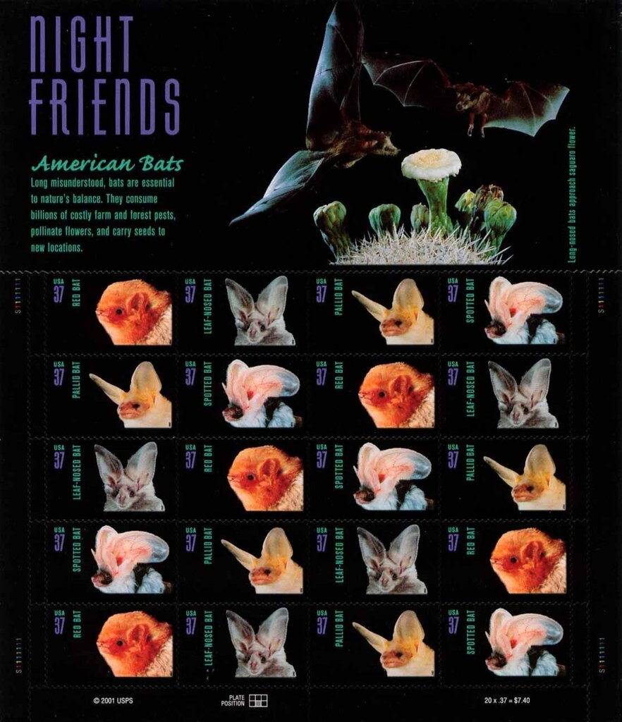 American Bats