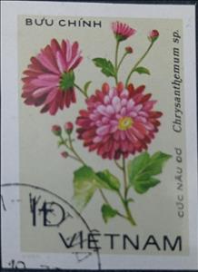 Stamp, Cuc Nau do, Vietnam,  , Flowers, Plants (Flora)