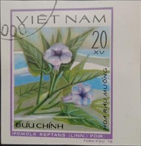 Stamp, Ipomoea reptans, Vietnam,  , Flowers, Lotus (Flower), Plants (Flora)