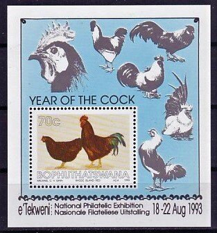Rhode Island Red