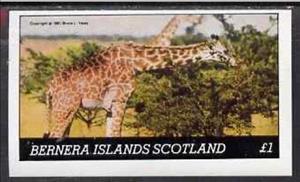 Souvenir Sheet, Animals, Cinderellas,  , Animals (Fauna)