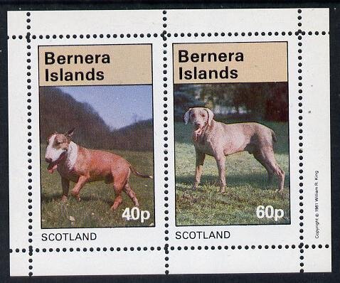 Animals