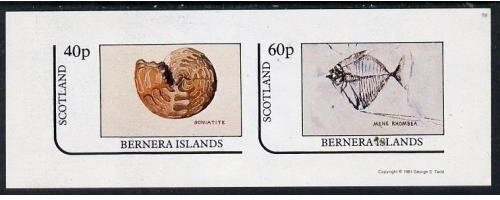 Mini Sheet, Animals, Cinderellas,  , Animals (Fauna)