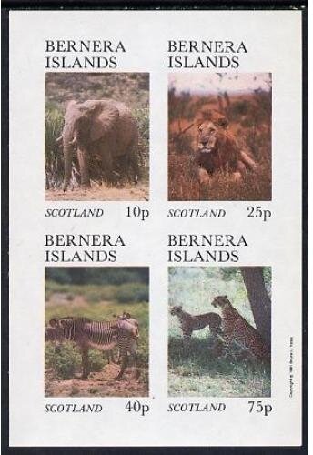 Animals