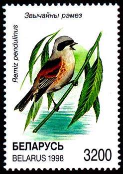 Stamp Songbirds - Remiz pendulinus