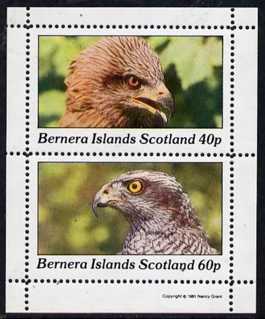 Birds