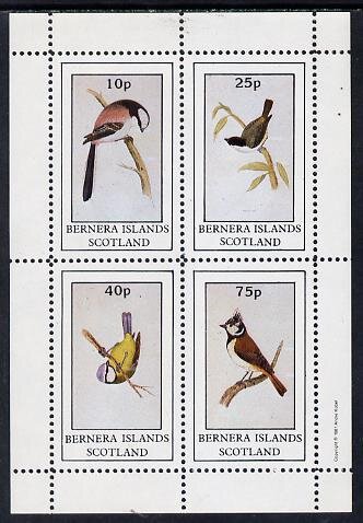 Birds