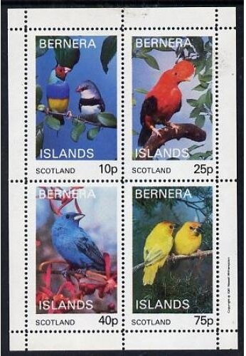Birds