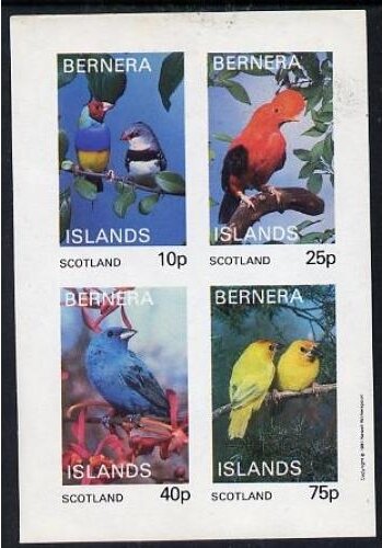 Birds