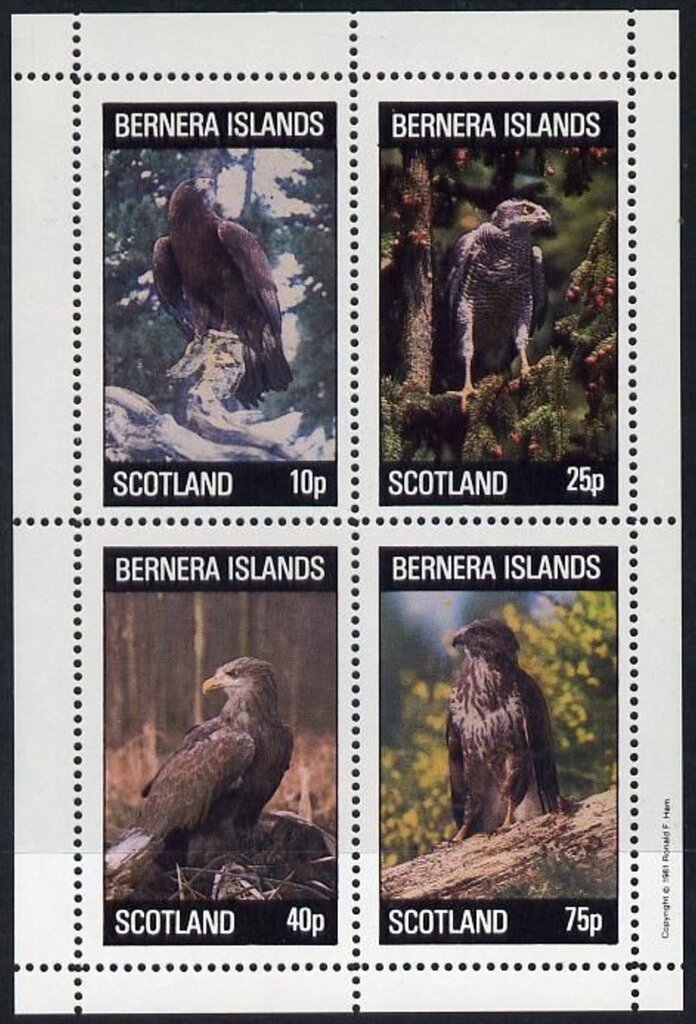 Birds