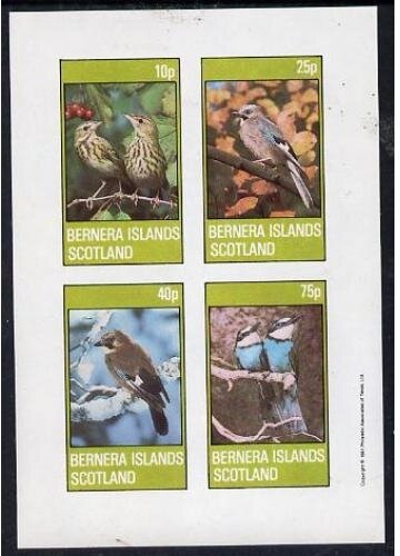 Birds