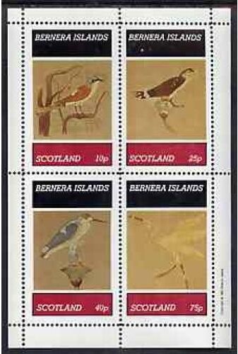 Birds