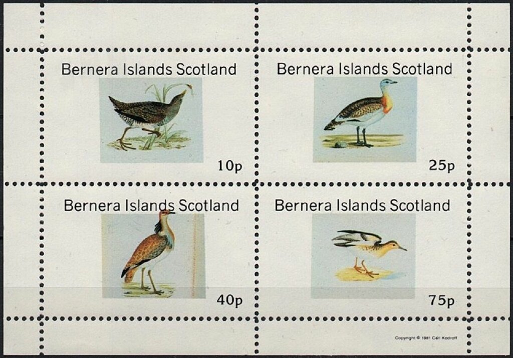 Birds