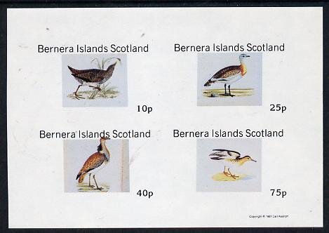 Birds