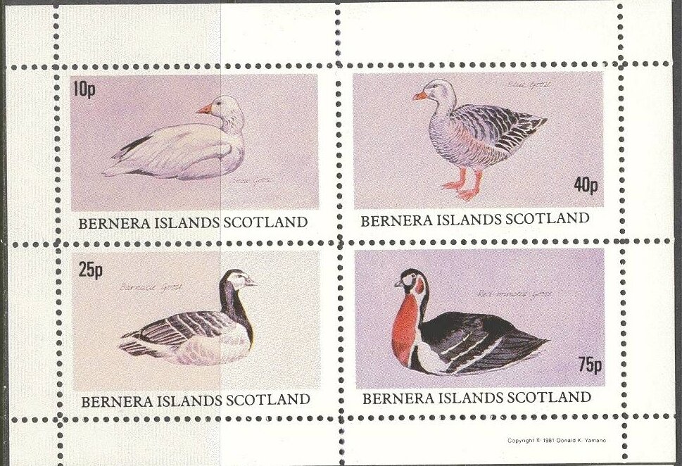 Birds