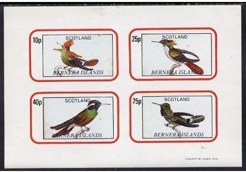 Birds