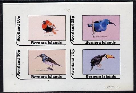 Birds