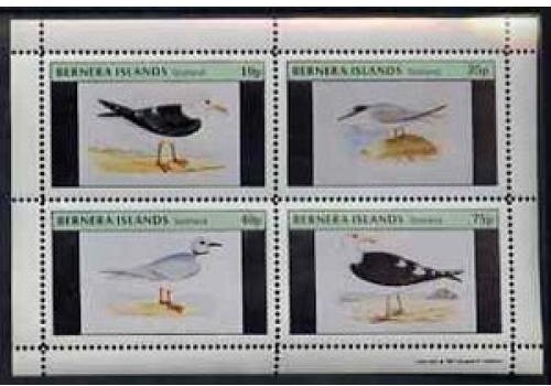 Birds