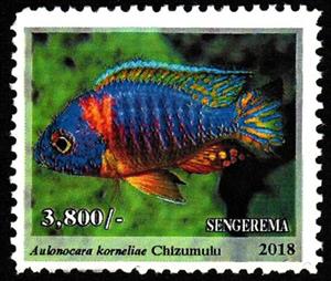 Stamp, Chizumulu (Aulonocara korneliae), Cinderellas,  , Animals (Fauna), Fishes, Sea Life