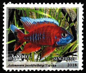 Stamp, Eureka (Aulonocara jacobfreibergi), Cinderellas,  , Animals (Fauna), Fishes, Sea Life
