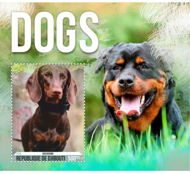 Fauna Dogs