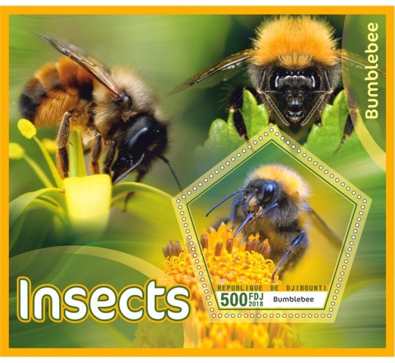Fauna Insects