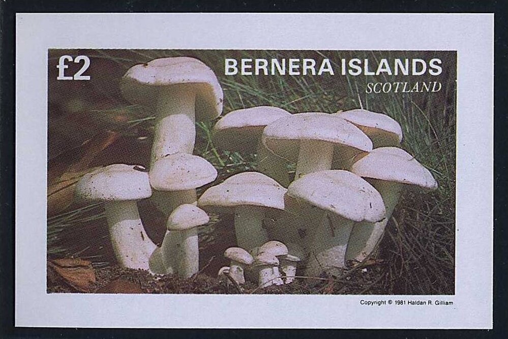 Mushrooms