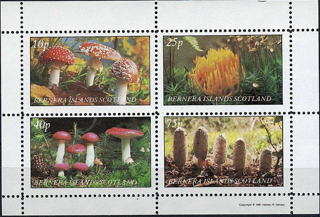 Mushrooms