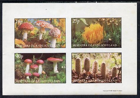 Mushrooms