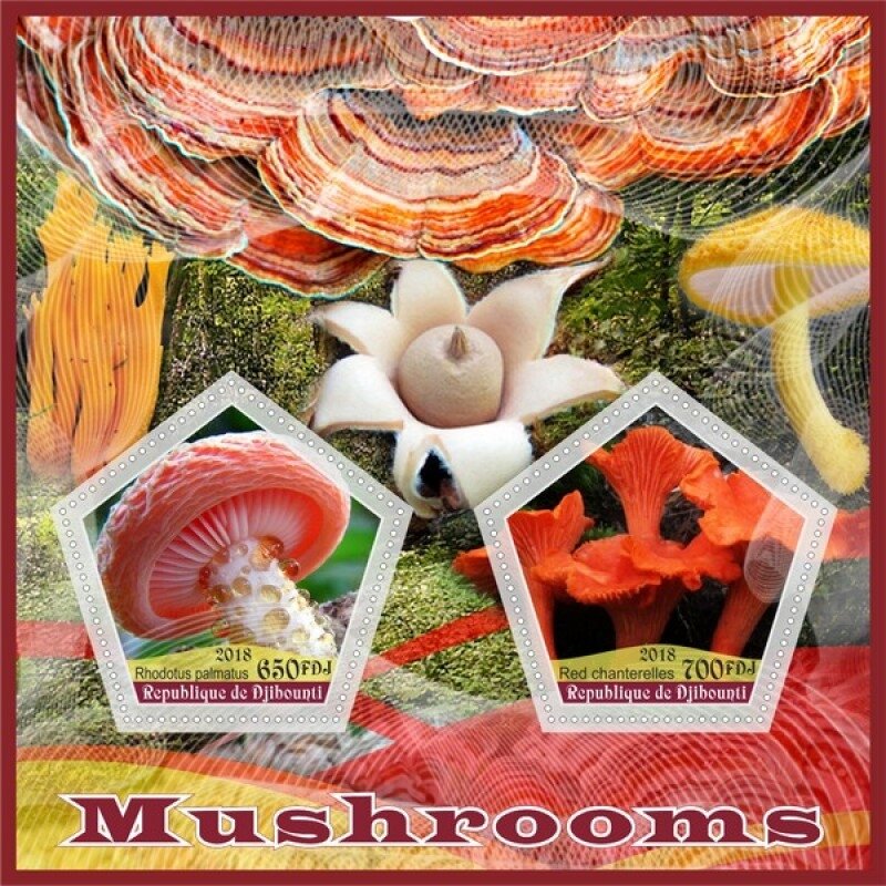 Mushrooms I