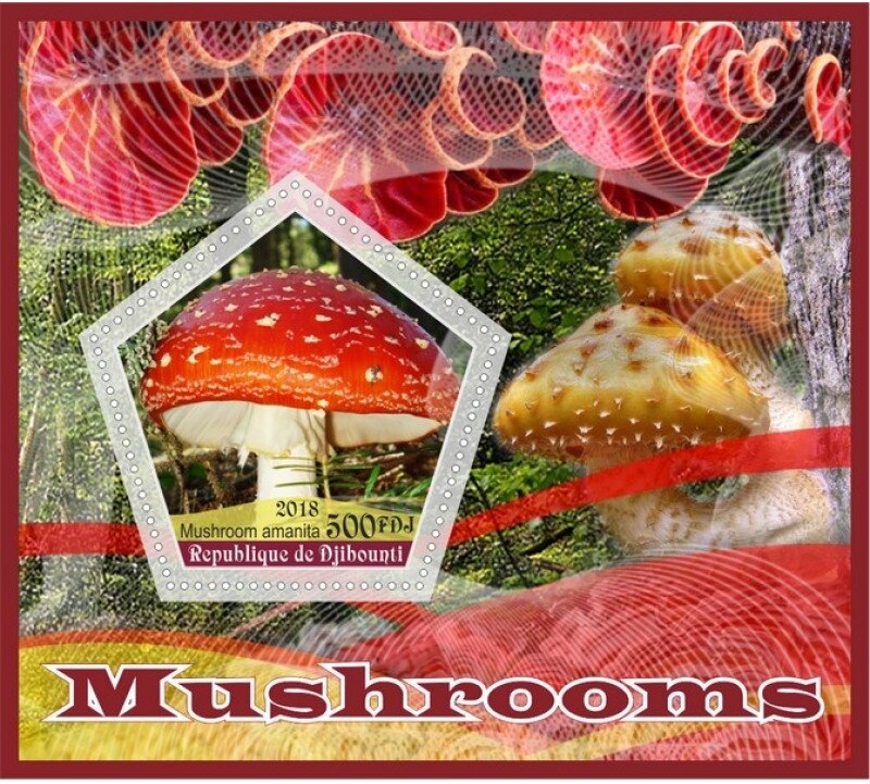 Mushrooms I