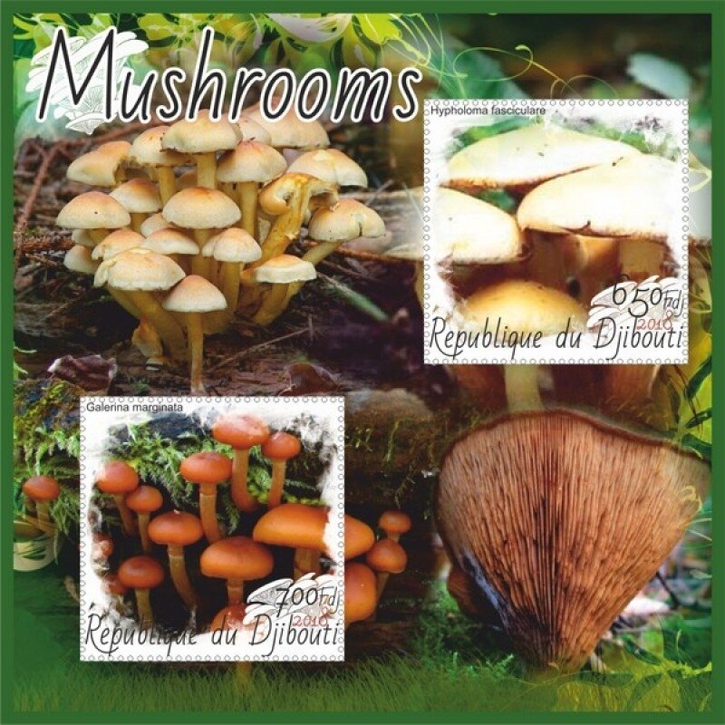 Mushrooms II