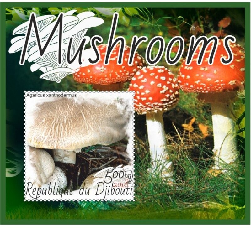Mushrooms II