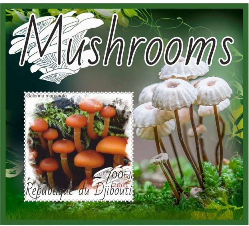 Mushrooms II