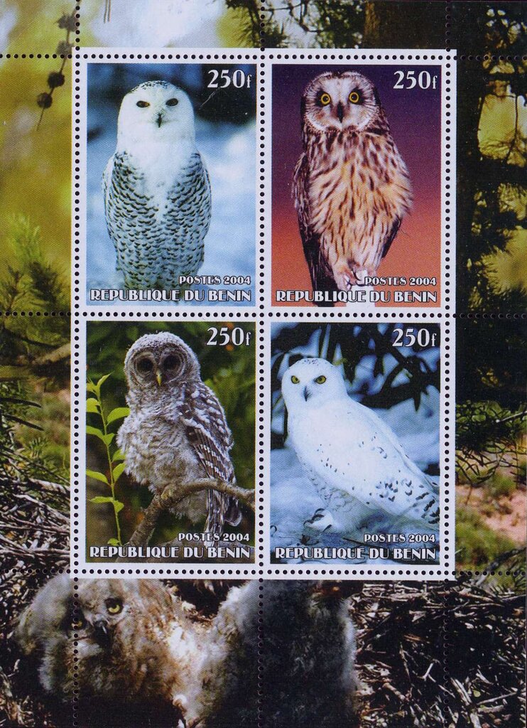 Owls