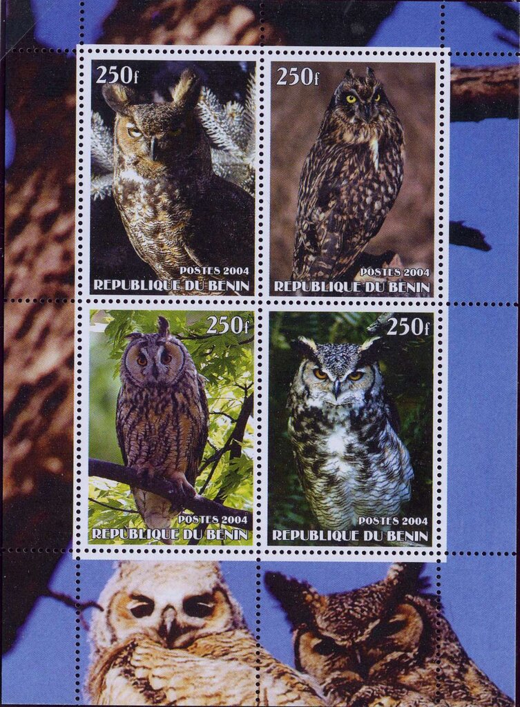 Owls