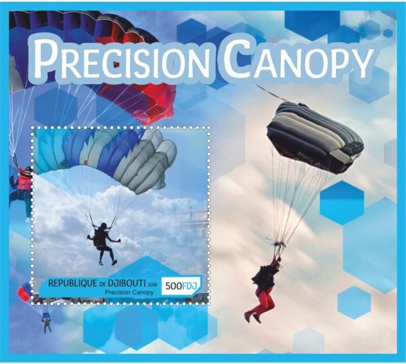 Parachutes Precision Canopy