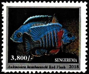 Stamp, Red Flash (Aulonocara hansbaenschi), Cinderellas,  , Animals (Fauna), Fishes, Sea Life