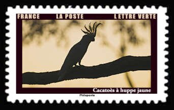 Stamp, Sulphur-Crested cockatoo (Cacatua galerita), France,  , Animals (Fauna), Birds, Parrots