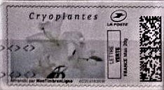 Cryoplantes