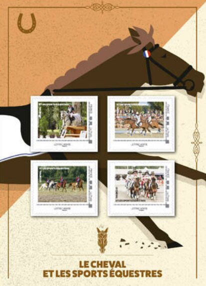 The Horse and Equestrian Sports