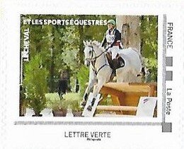 The Horse and Equestrian Sports 1